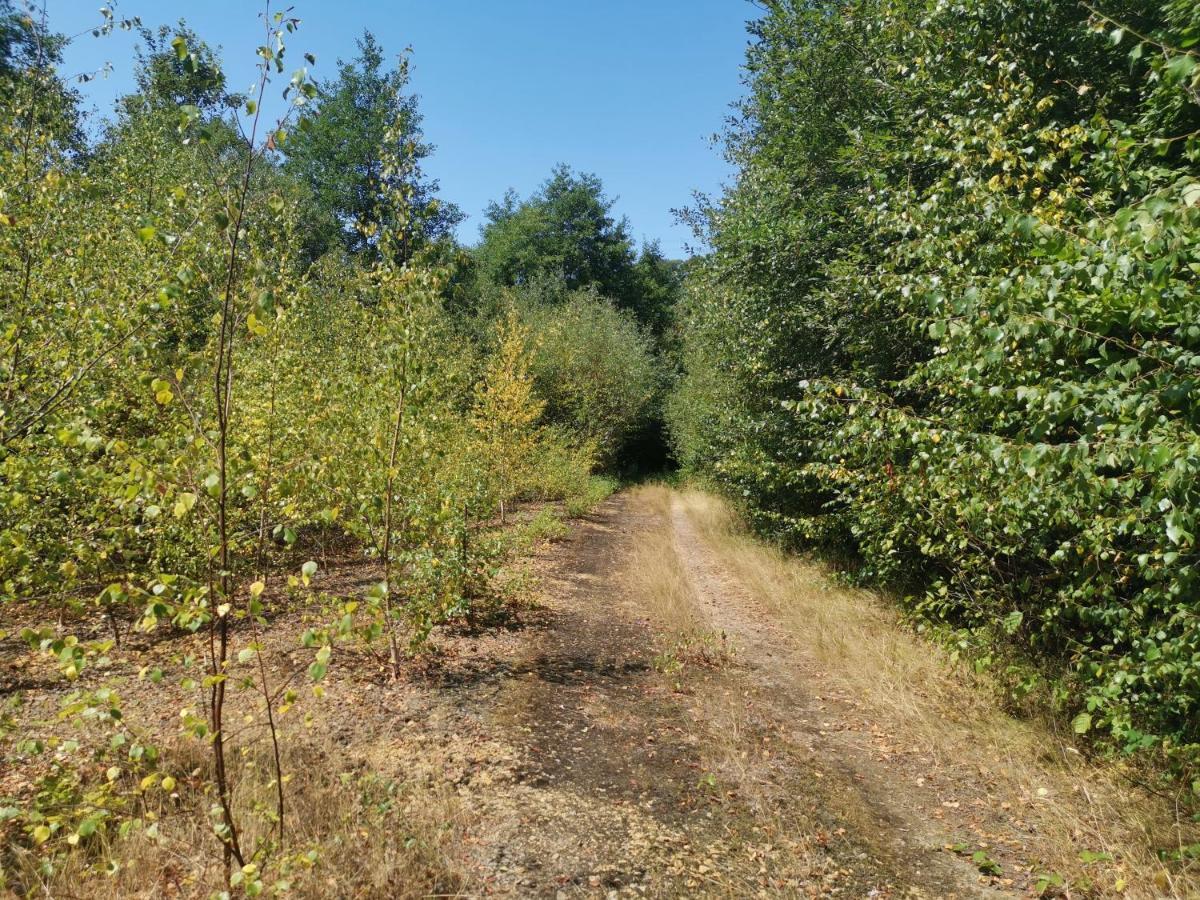 Domaine Lvd Avec Spa, Bois Et Riviere Privee La Bloutiere 外观 照片