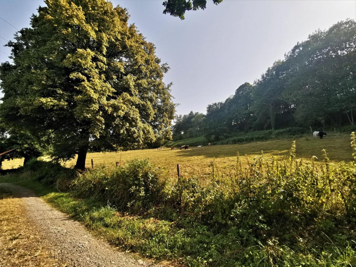 Domaine Lvd Avec Spa, Bois Et Riviere Privee La Bloutiere 外观 照片